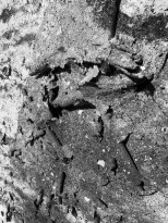 Чжан Хуань - Спрашивая Конфуция №3, 2011 (холст, пепел) фрагмент