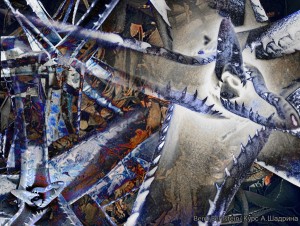 IMG 20160829 122541 web