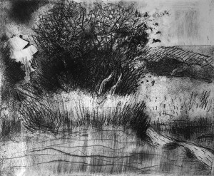 Валентин Громов - Куст, 1996 Офорт.
