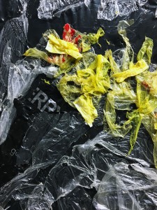 Сауле Сулейменова - Fake Plastic Flowers (фрагмент), 2015