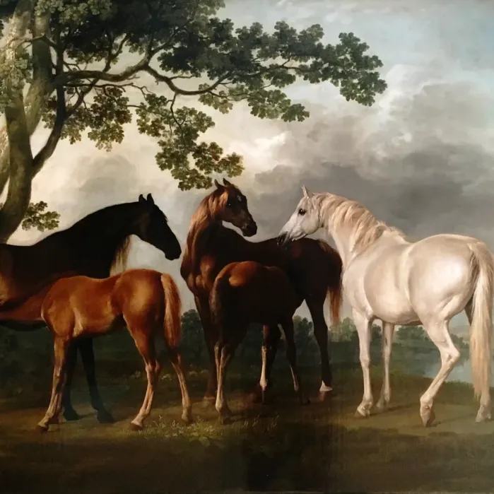 Джордж Стаббс — Кобылы и жеребята в речном пейзаже, 1763-1768 (холст, масло)