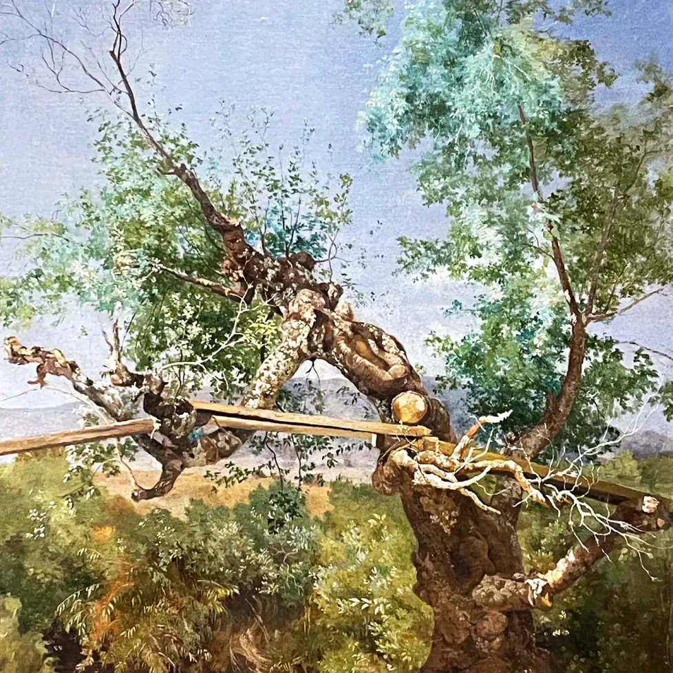Хосе Мария Веласко — Деревянный мост в Сан-Анджеле, 1862 (масло, холст)